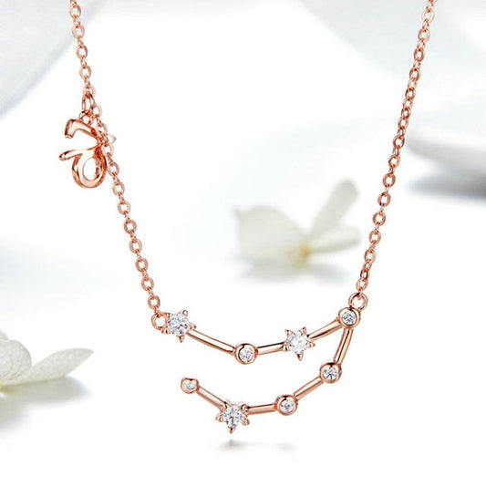 Steenbok Dierenriem ketting